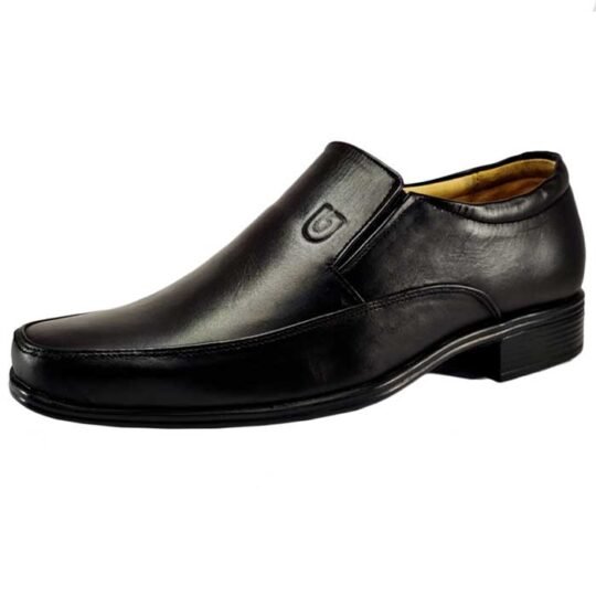 Aristro Leather loafers